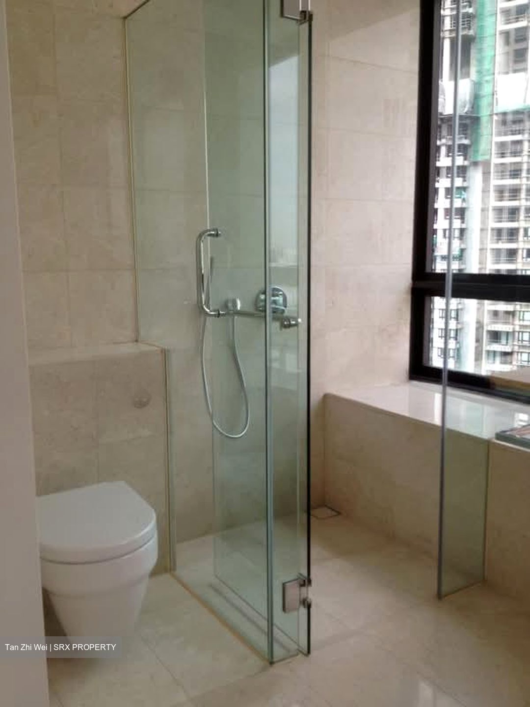 Trilight (D11), Condominium #539528241